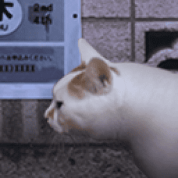 1066vip威尼斯下载之怪奇谭官方正版下载-1066vip威尼斯下载之怪奇谭手机版下载 v1.0 安卓正版